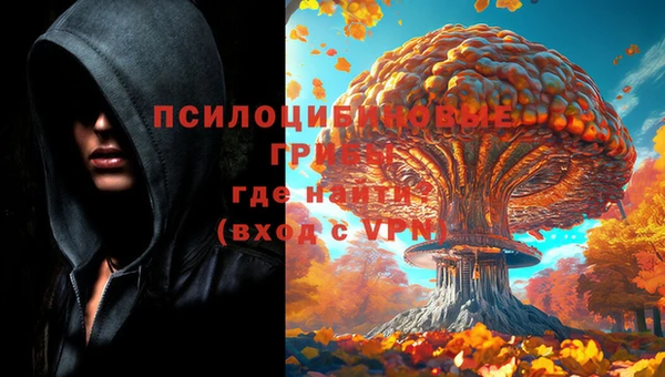 PSILOCYBIN Иннополис