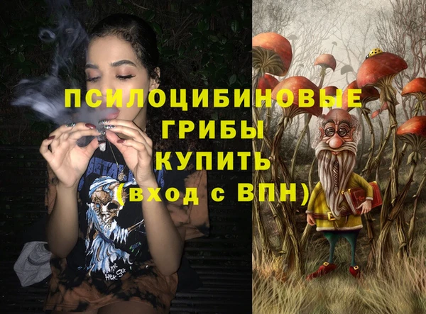прущая мука Инта