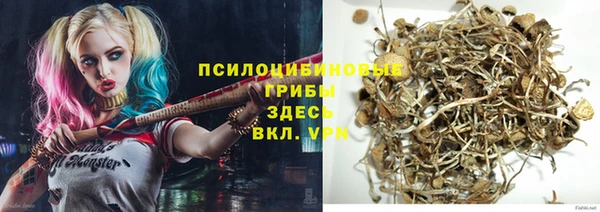 PSILOCYBIN Иннополис