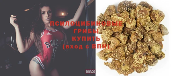 прущая мука Инта