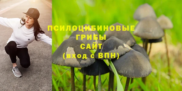 PSILOCYBIN Иннополис