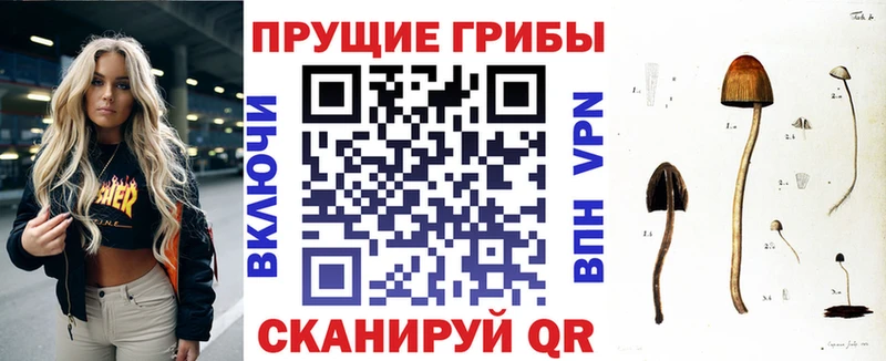 Галлюциногенные грибы Magic Shrooms  Купить где  Мирный 